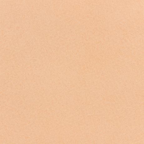 Feutrine Cinnamon Patch x 5u 30/45cm peau de pche