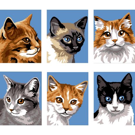 Lot de 6 kits canevas - portrait de chat
