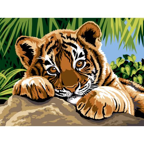 Canevas 40/50 -Tigre