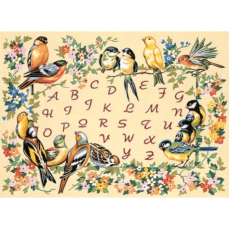 Canevas 45/60 - L'Alphabet des oiseaux