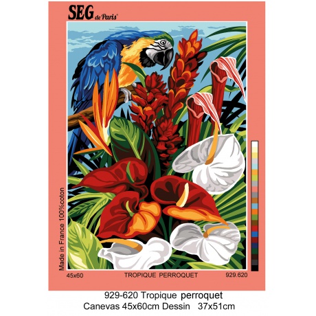 Canevas 45/60 - Fleurs tropicales et perroquet