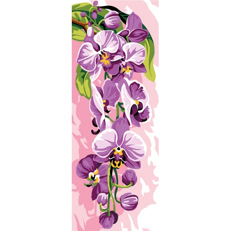 Canevas 25/60 - Fleurs d'Orchide mauve