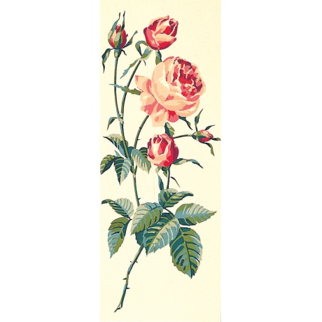 Canevas 25/60 - Rose, la fleur