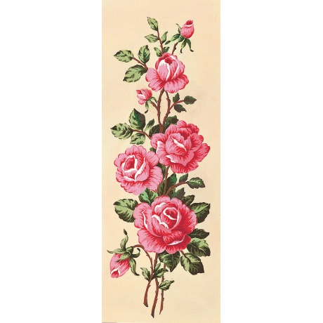 Canevas 25/60 - Roses roses en fleur