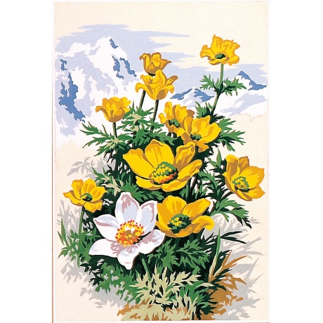 Canevas 30/40 - Fleurs Pustille des Alpes