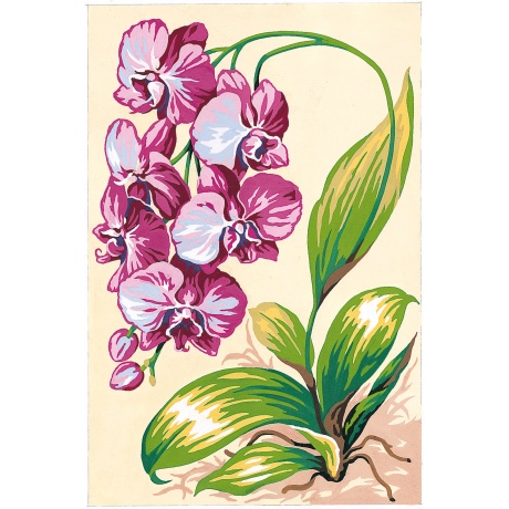 Canevas 30/40 - Fleur d'Orchide
