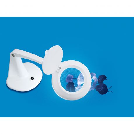 Lampe avec loupe double foyer sur socle