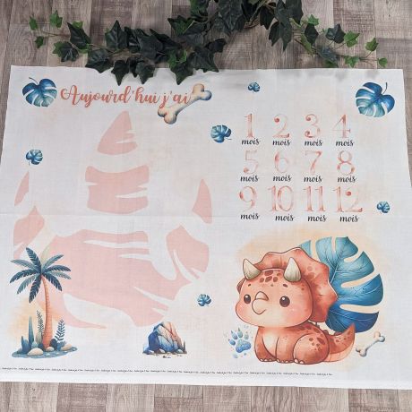 Tissu de L'atelier de Jess & Caro panneau couverture anniversaire draco
