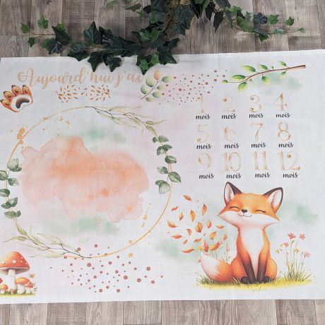 Tissu de L'atelier de Jess & Caro panneau couverture anniversaire flynn