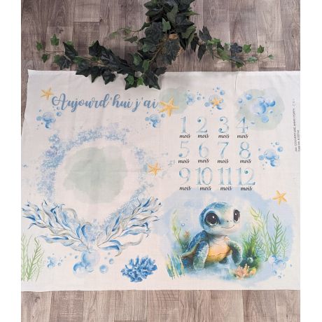Tissu de L'atelier de Jess & Caro panneau couverture anniversaire poppy