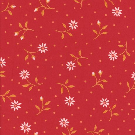 Tissu Liberty Fabrics Tana Lawn� bryony