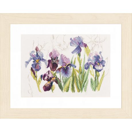 Kit pt compt iris bleues / fond imprim