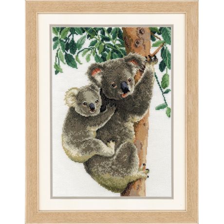 Kit au point compt koala avec bb