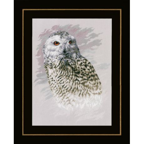 Kit au point compt snowy owl