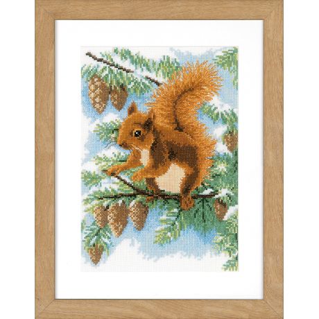 Kit au point compt ecureuil dans le pin