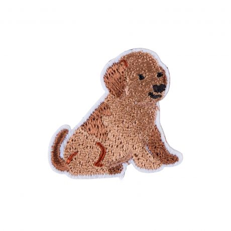 Thermocollant chien