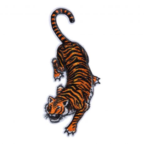 Thermocollant tigre