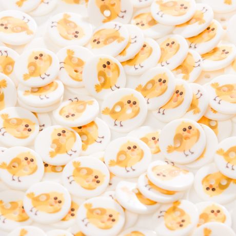 Bouton oiseau