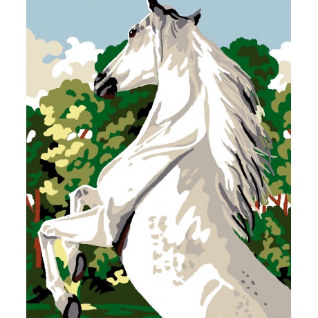 Kit canevas blanc 25/30cm cheval blanc