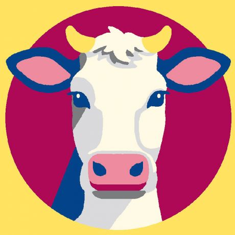 Kit soudan blanc vache laine acrylique