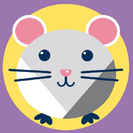 Kit soudan blanc hamster laine acrylique