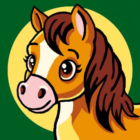 Kit soudan blanc poney