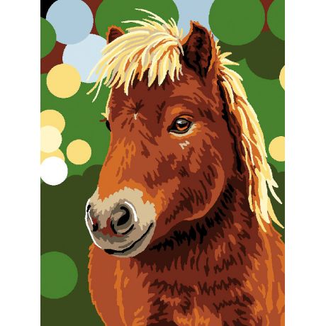 Kit canevas blanc poney