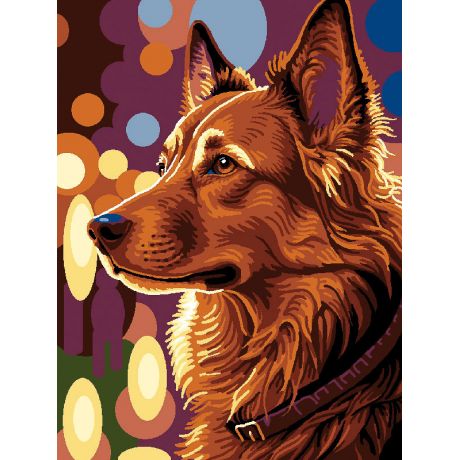 Kit canevas blanc berger allemand