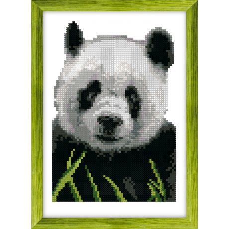 Kit point compt ada 5,5 Panda