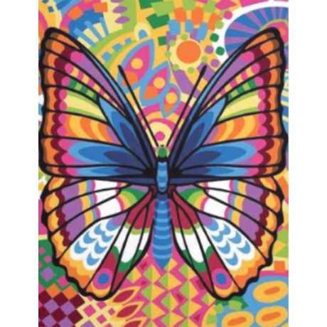 Canevas 45 x 65 cm - Papillon color