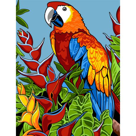 Canevas 45 x 65 cm - Perroquet, l'oiseau couleur