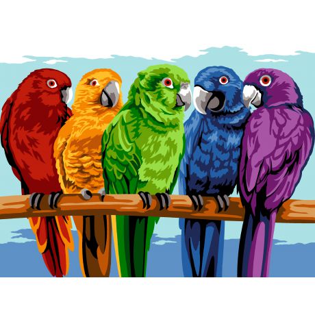 Canevas 45 x 65 cm - Oiseaux haut en couleurs