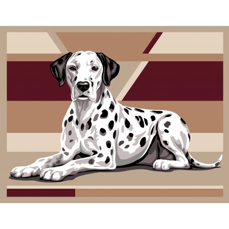 Canevas 65/80 - dalmacien