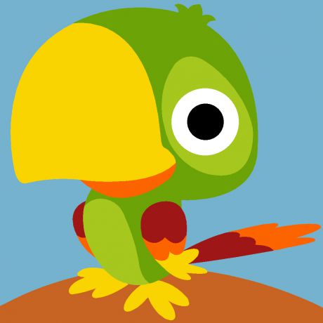 kit enfant - Oiseau - Perroquet vert