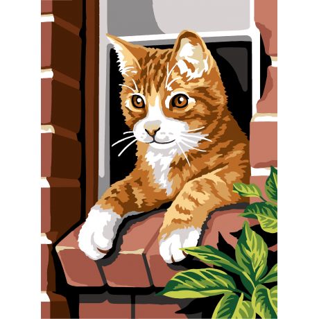 Canevas 30/40 - chat roux