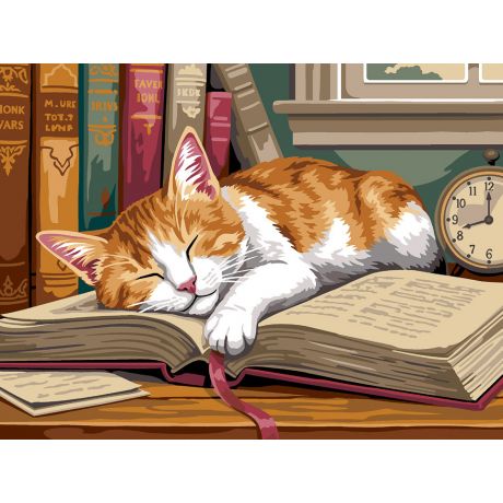 Canevas - chat marque page