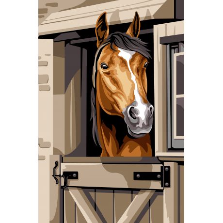 Canevas 75/110 - le box