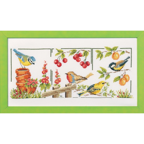Kit - Les oiseaux du jardin