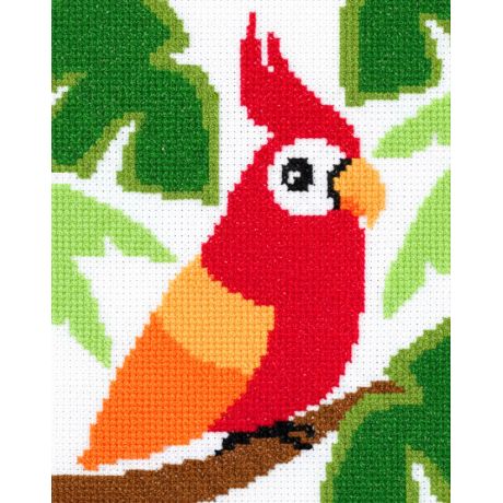 Kit point compt Perroquet