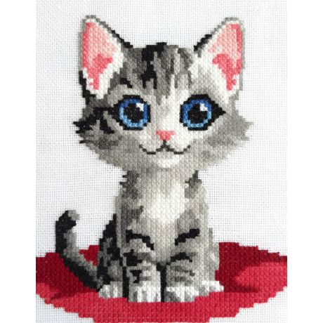 Kit point compt Chat angora