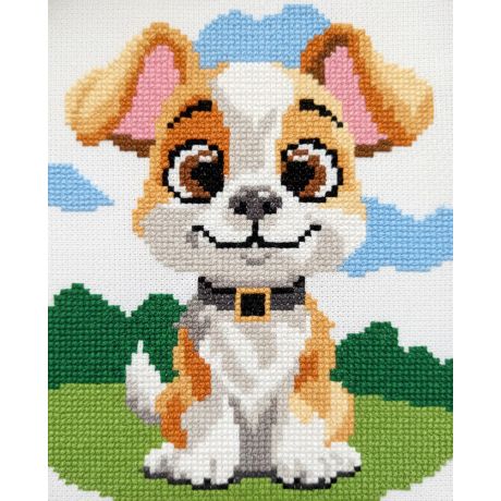  Kit point compt chien