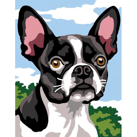 Kit canevas pnlope -bulldog