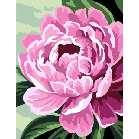 Kit canevas p�n�lope blanc -pivoines