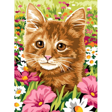 Canevas le champ du chat