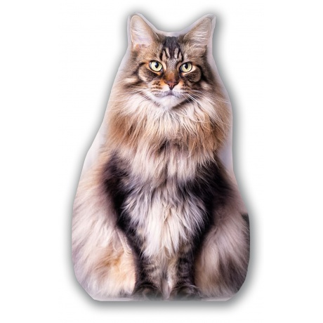 Kit couture - - Coussin chat