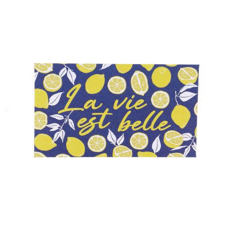 Carnet de 40 aiguilles assorties 